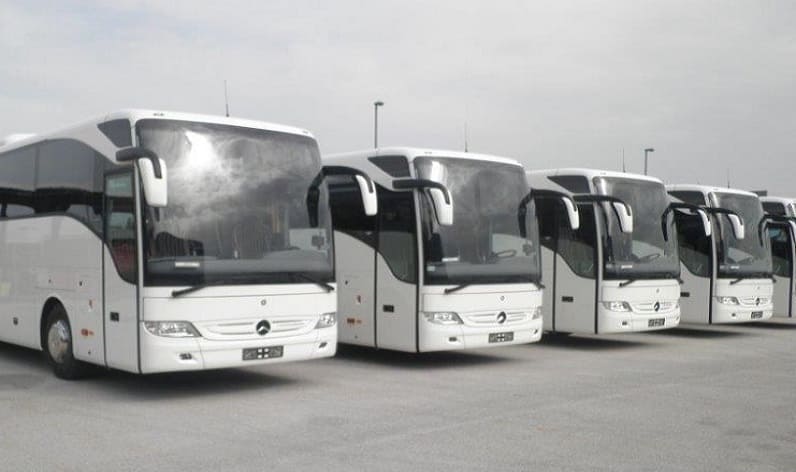 Belgrade District: Bus company in Sremčica in Sremčica and Belgrade Region