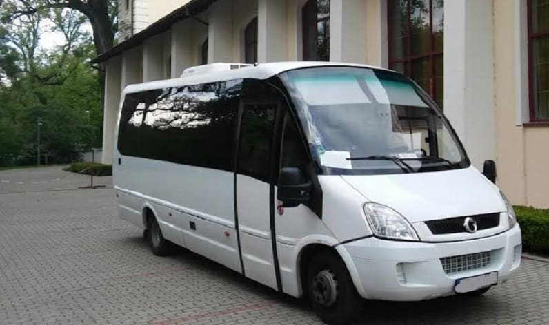 Caraș-Severin County: Bus order in Reșița in Reșița and Romania