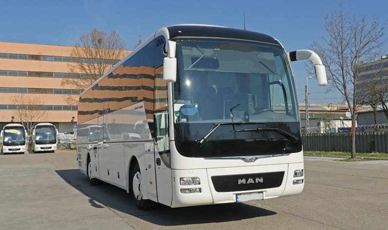Hunedoara County: Buses operator in Brad in Brad and Romania