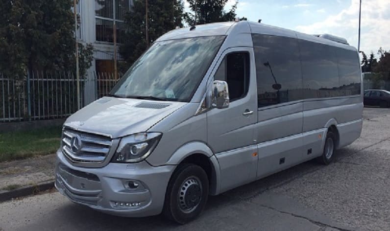Hunedoara County: Buses rent in Hunedoara in Hunedoara and Romania