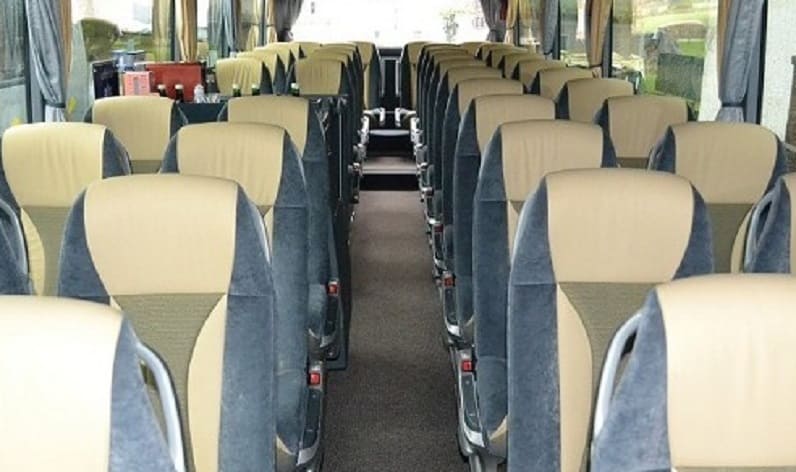 Hungary: Coach operator in Békés in Békés and Orosháza