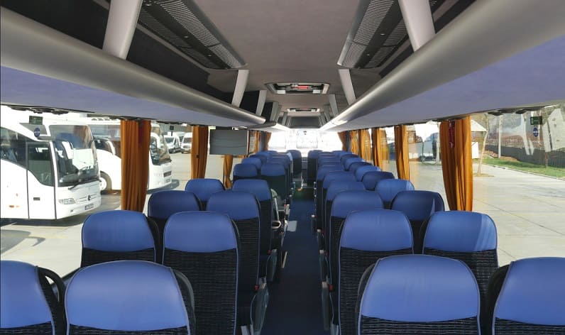 Romania: Coaches booking in Hunedoara County in Hunedoara County and Brad