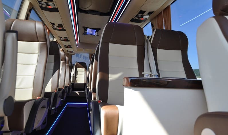 Romania: Coaches charter in Timiș County in Timiș County and Timișoara